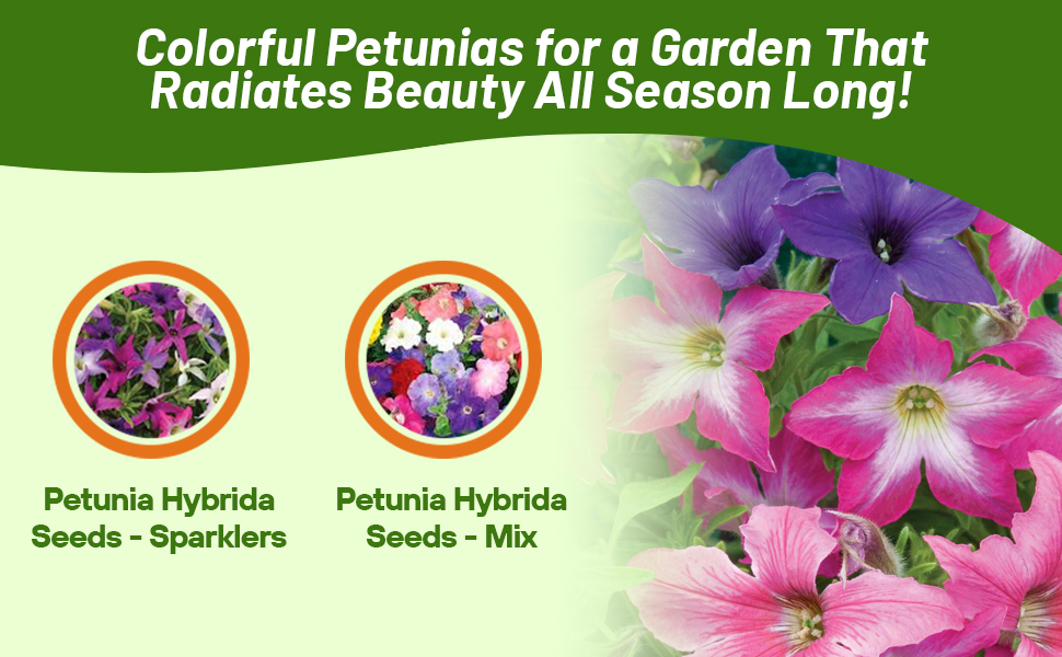 Petunia Hybrida Sparklers & Mix From Flower Seeds