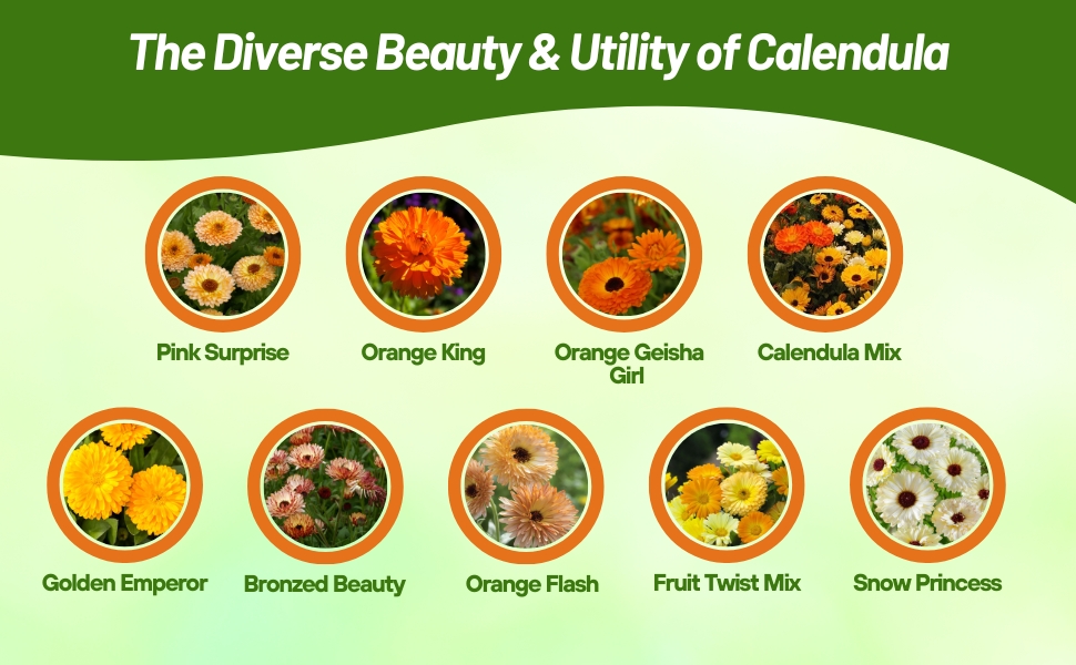 Outsidepride Varieties of Calendula For Sale