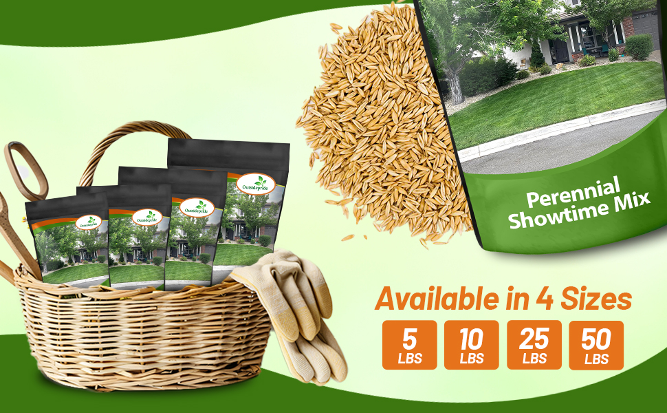 Showtime Lawn Grass Seed Bulk Pounds