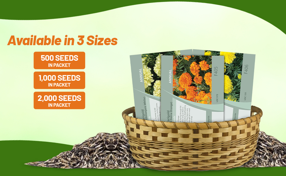 Tagetes erecta African Marigold Flower Seed Packets For Planting
