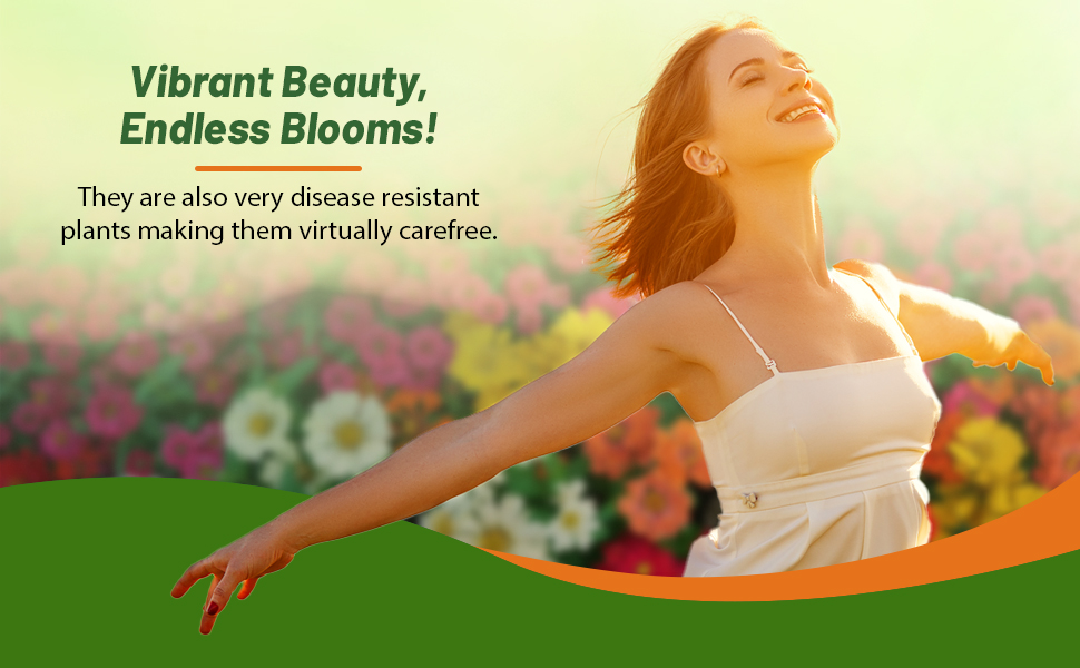 Women Enjoying Zinnia Zahara Raspberry Lemonade Flower Garden