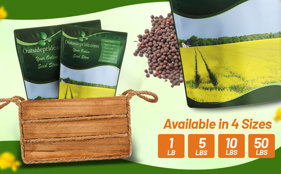 Brassica Trophy Brassica Bulk Seed Bags For Sale