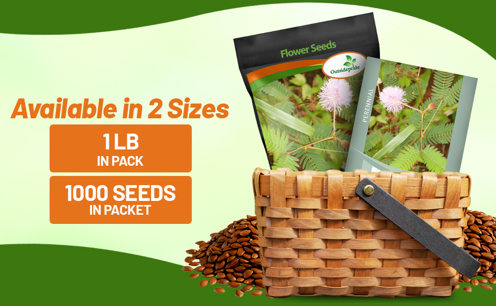 Illinois Bundleflower Seed Bag For Planting
