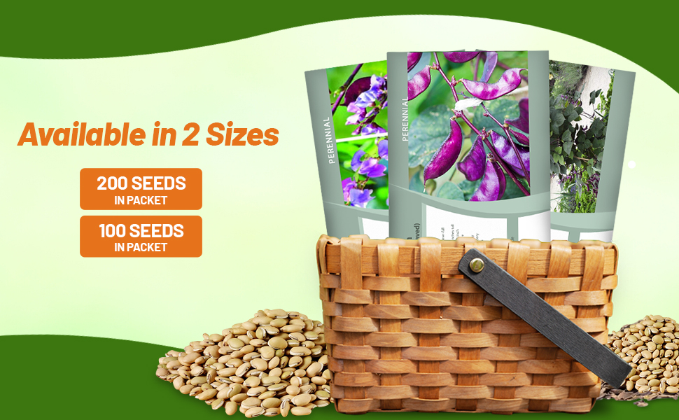 Dolichos Lablab Flower Seed Packets For Planting