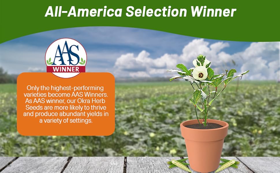 All American Selection Winner Clemson Spineless Okra