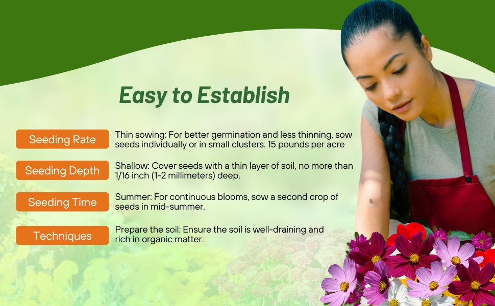 Planting Directions For Cosmos Bipinnatus Sensation Flower Seed Mixture