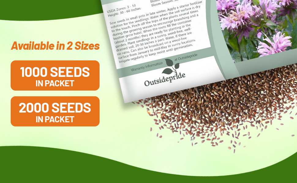 Monarda Fistulosa Wild Bergamot Flower Seed Packet