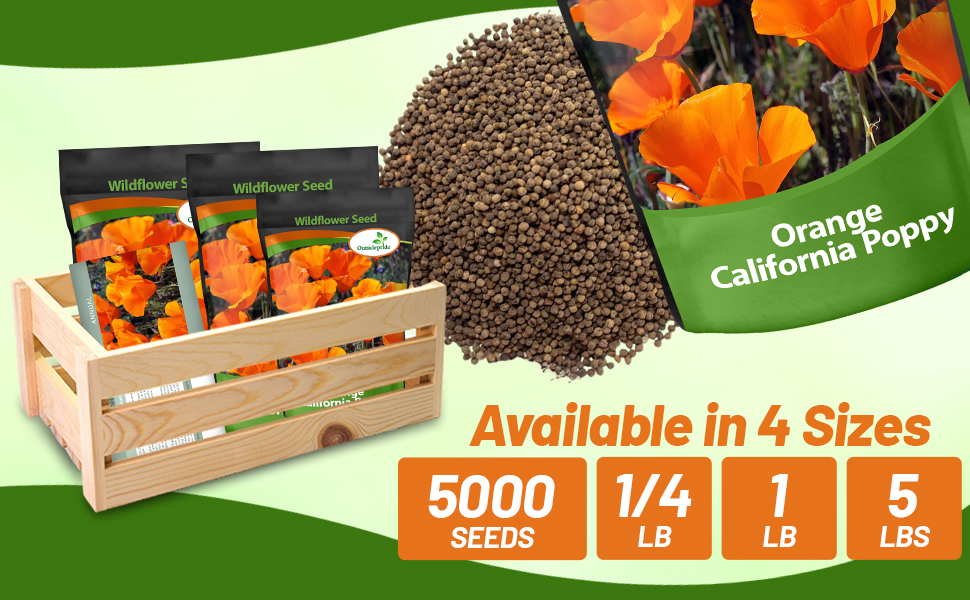 Bulk California Poppy Drought Tolerant Wild Flower Seeds