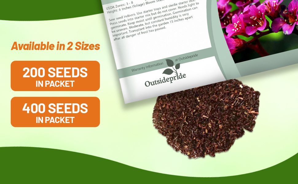 Bergenia Flower Seed Packets For Sale