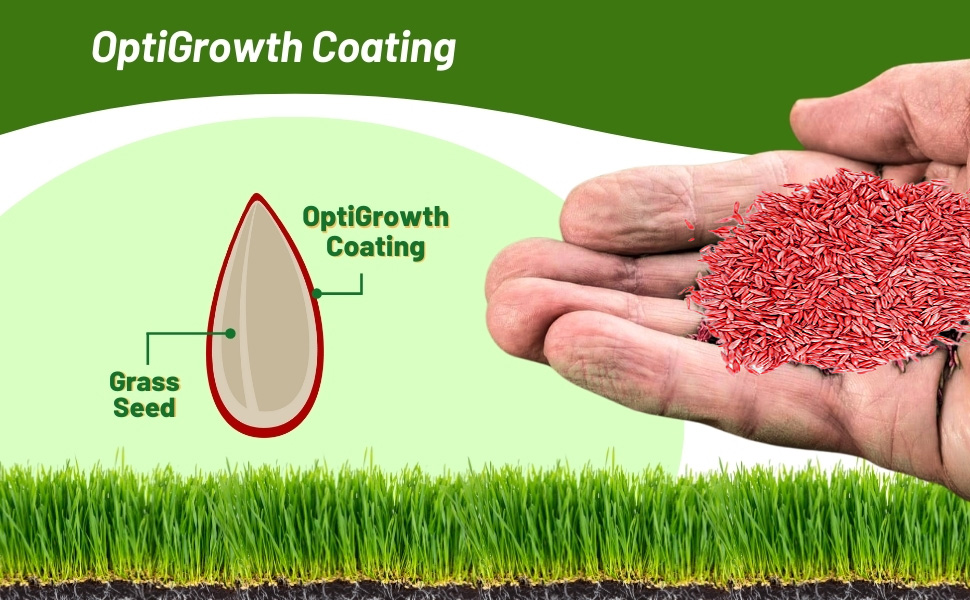 OptiGrowth Coated Bluegrass Supreme Lawn Grass Seeds For Rapid Establishment