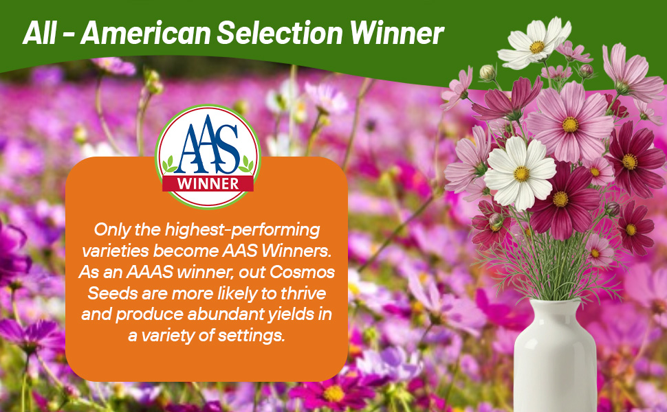 Cosmos Bipinnatus Sensation Mixture All American Selection Winner