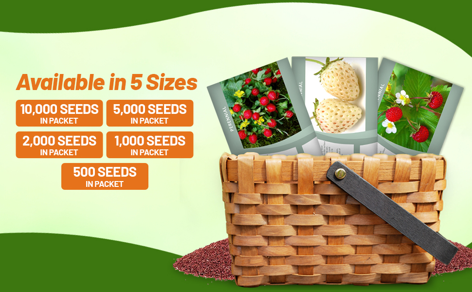 Strawberry Seed Packets For Sale