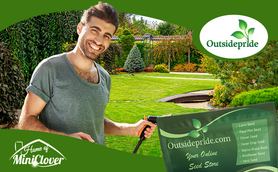 Kentucky Bluegrass Supreme Lawn Grass Seed Blend