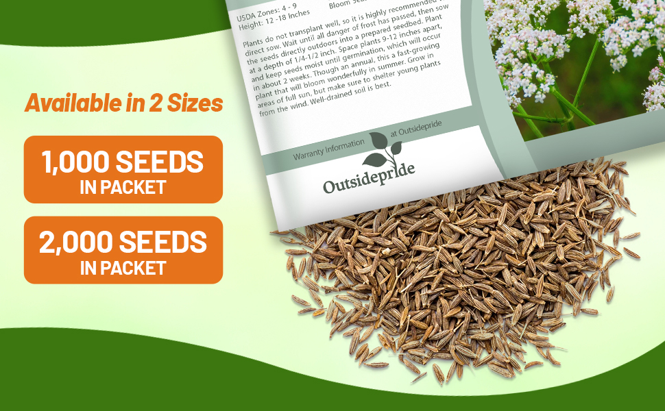 Anise Seed Packet For Sale