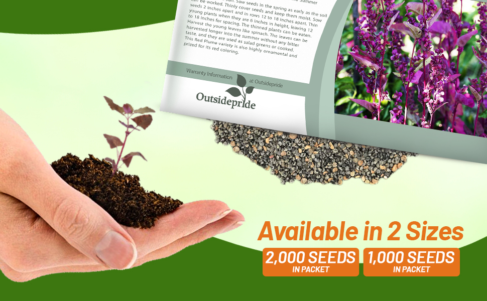 Red Orach Seed Packets For Planting