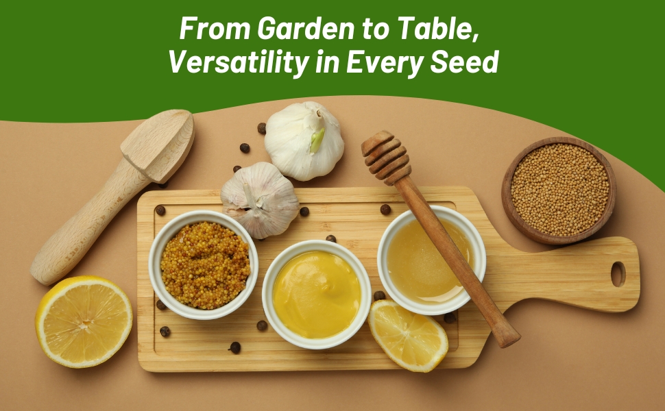 Sinapsis Mustard Seeds For Cooking Flavor
