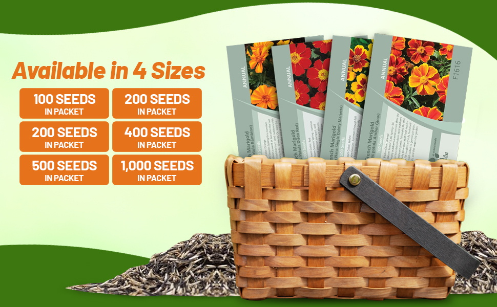 Tagetes French Marigold Seed Packets For Planting