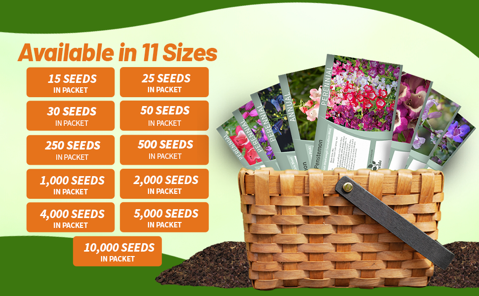 Penstemon Seed Packets For Sale