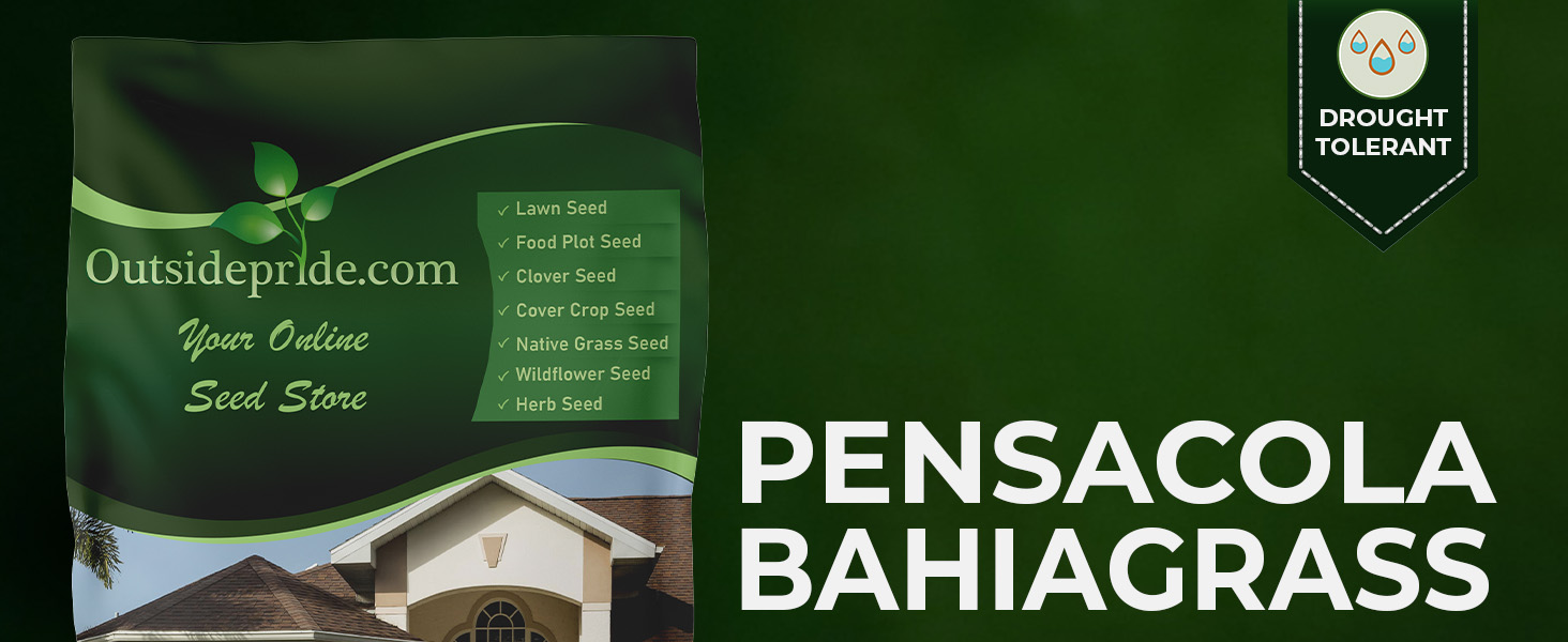 Pensacola Bahia