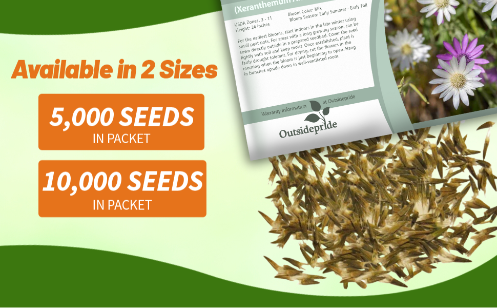 Xeranthemum Flower Seed Packets For Sale