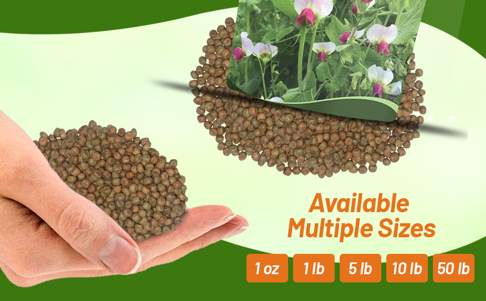 Austrian Winter Peas Bulk Seed Bags For Planting