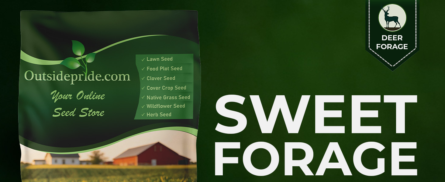Sugar Beets