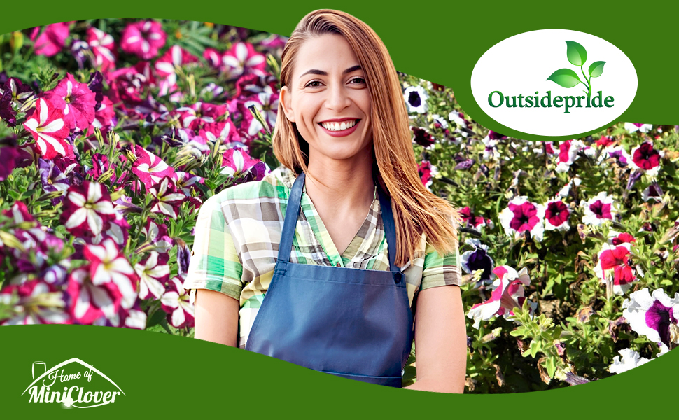 Petunia Multiflora Flower Seed Garden Mixture