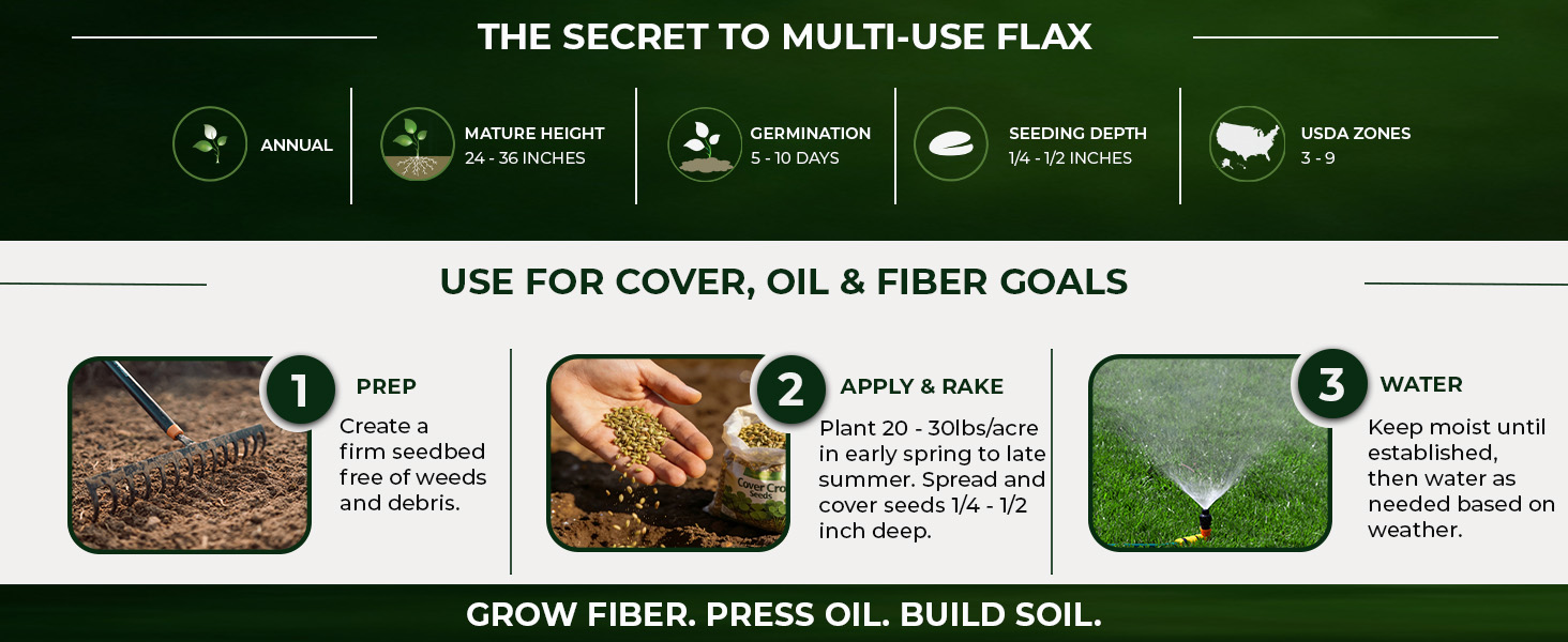 Common Flax Seed Planting Directions