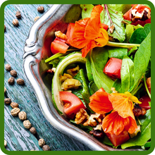 Nasturtium Edible Flowers For Salads