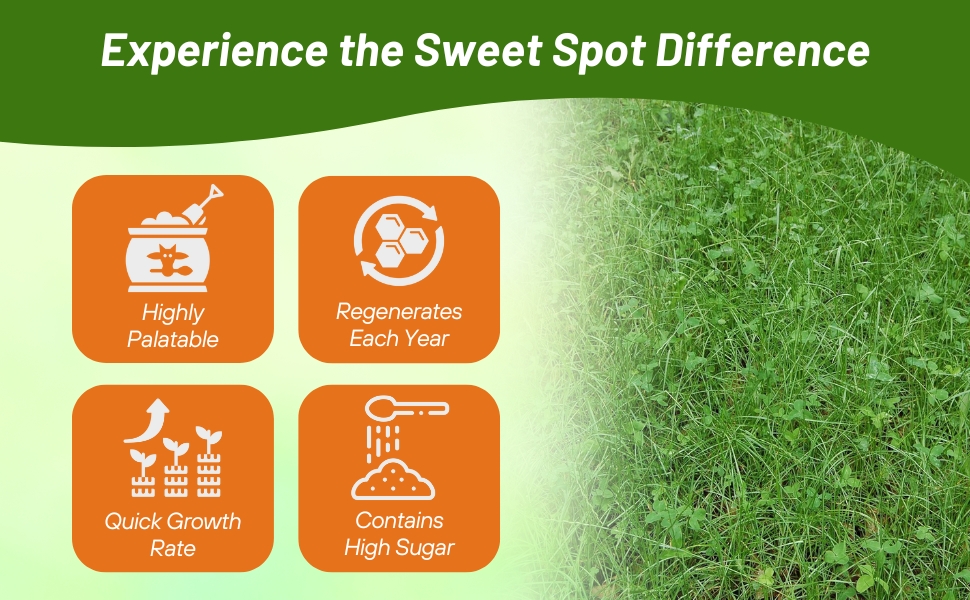 High Sugar Content Deer Food Plot Seed