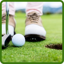 Shade Tolerant Creeping Bluegrass Backyard Putting Green Seed