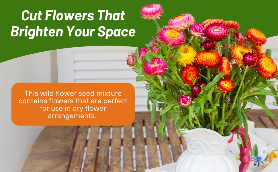 Everlasting Cut Flowers