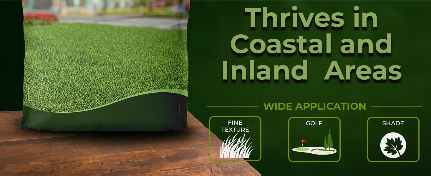Seashore Paspalum Salt Tolerant Grass