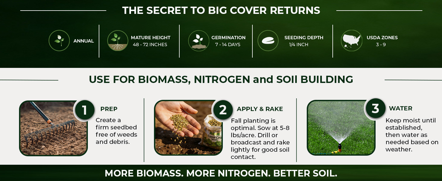 Balansa Clover Seeds Planting Directions