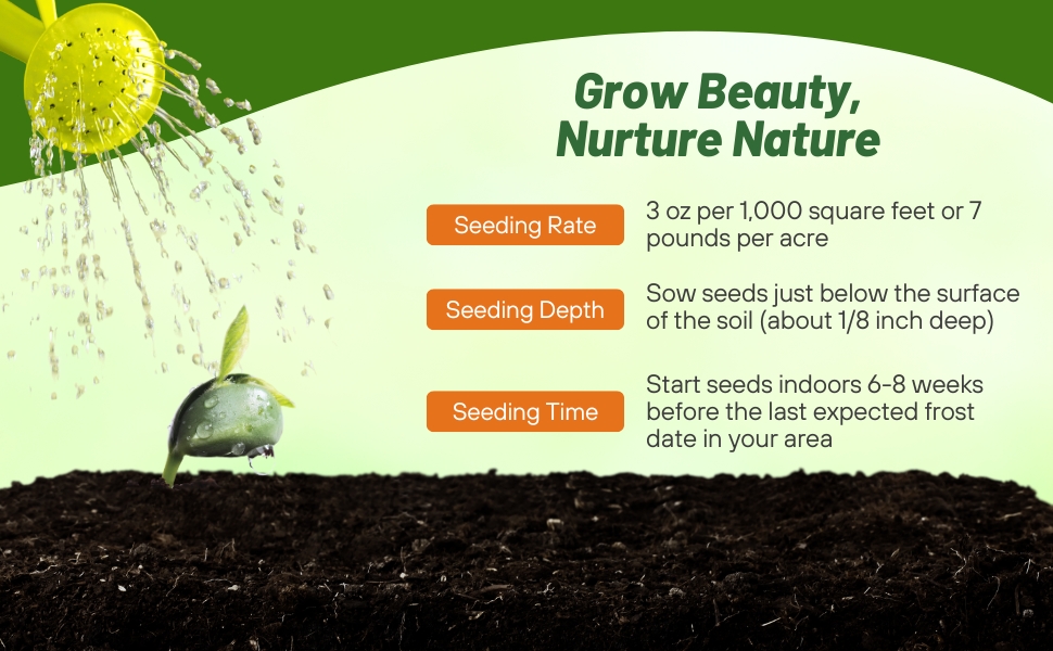 Planting Instructions For Blue Sage