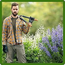 Low Maintenance Water Conservation Indigo With Taproots