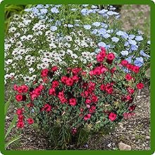 Practical Uses of Flax Seed