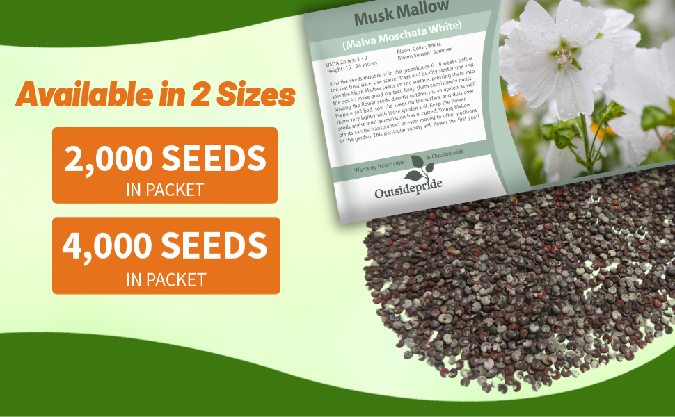 Malva Moschata White Musk Mallow Seed Packet
