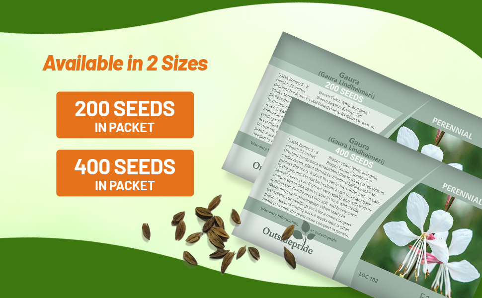 Gaura Seed Packets For Sale