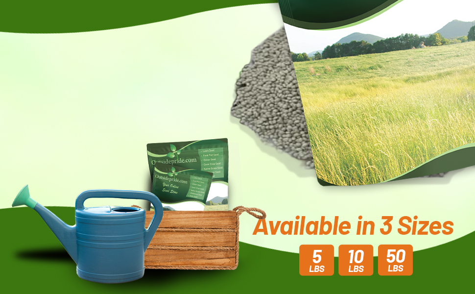 Bulk Teff Seed Bags For Sale & Planting