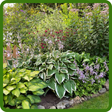 Ground Cover Solution