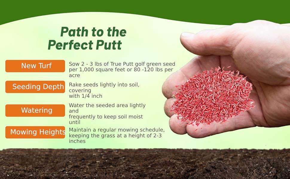 Seeding Rate & Planting Time For Two Putt Creeping Bluegrass Seeds