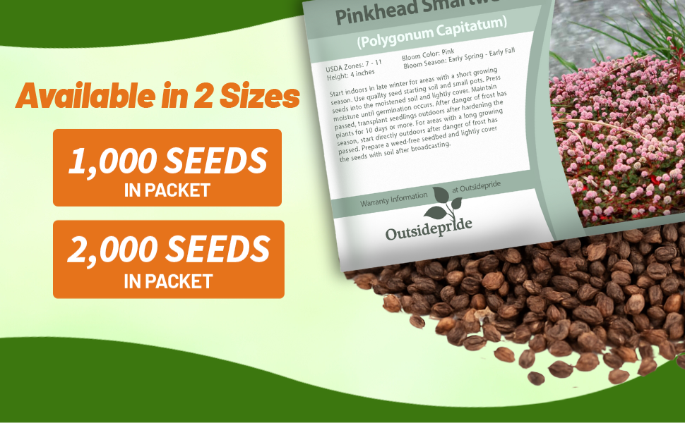 Polygonum Capitatum Pinkhead Smartweed Seed Packet