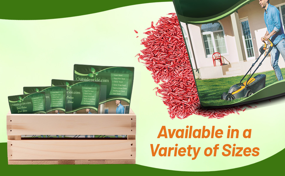 Coated Thermal Blue Hybrid Kentucky Bluegrass Lawn Seed