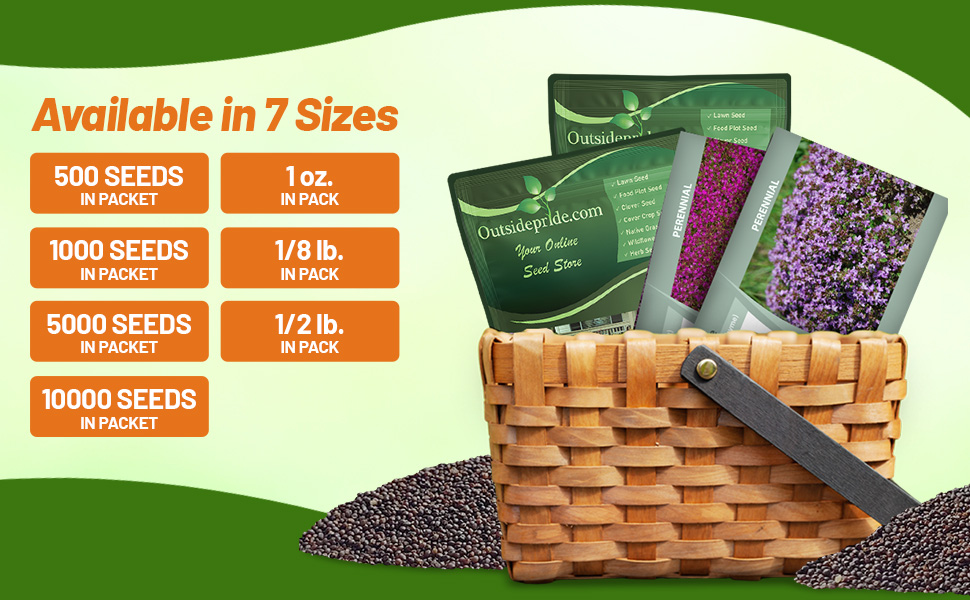 Creeping Thyme Seed Bags &amp; Packets For Planting