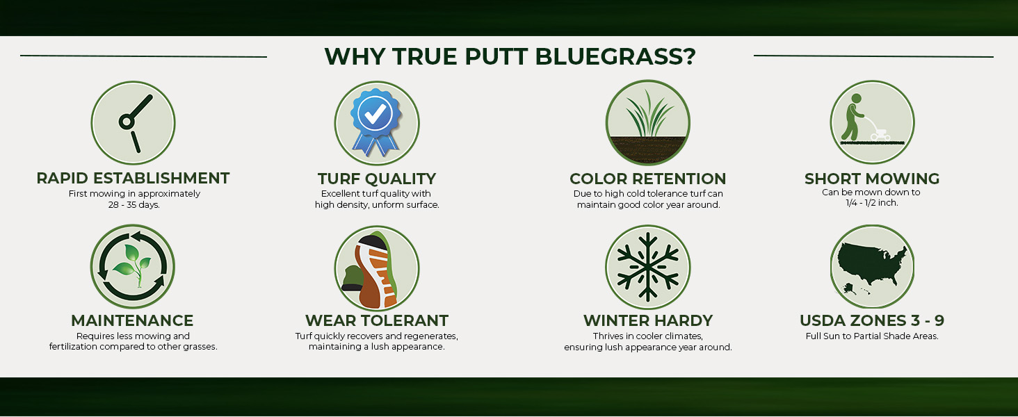 True Putt Dense Turf