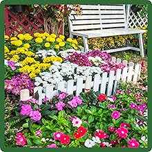 MIdwest Wildflowers Flower Garden