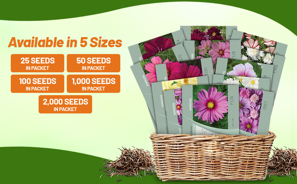 Cosmos Flower Seed Packets For Planting Outdoors