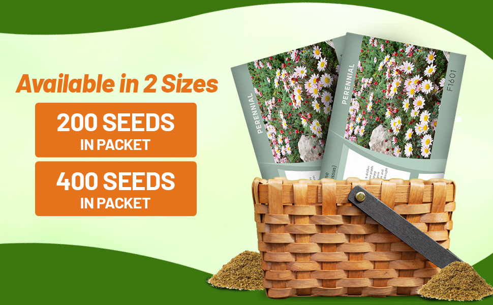 Garden Gnome Seed Packets For Planting