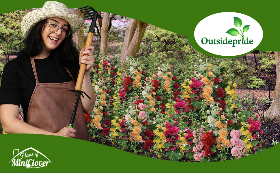Double Flowering Hollyhock Flower Garden